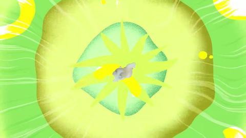 20260225游戏纯享